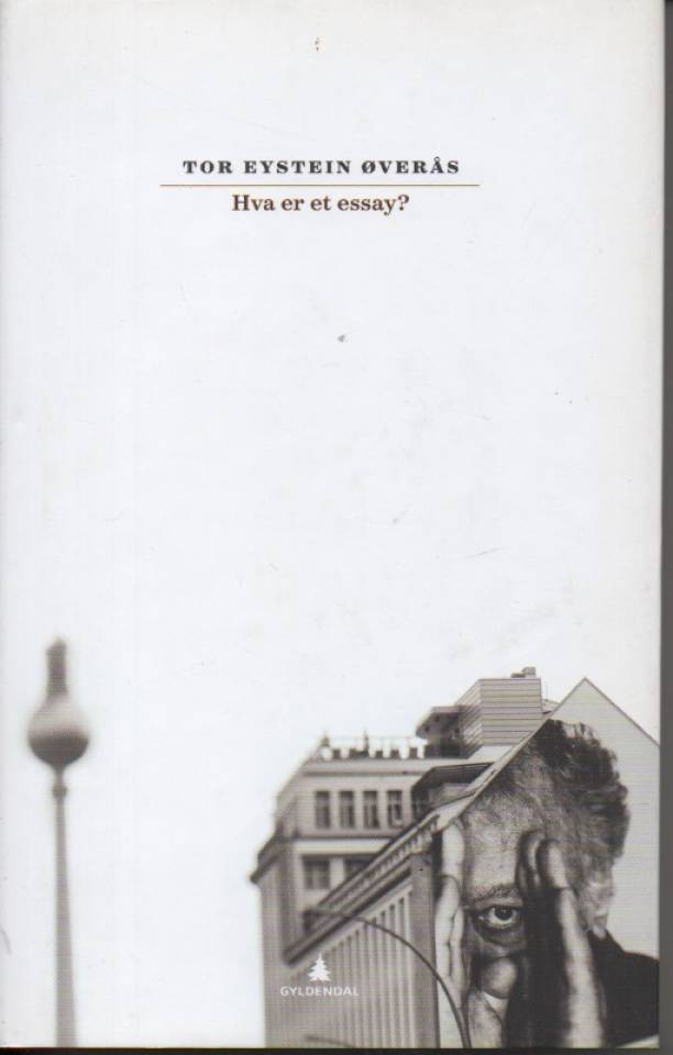 Hva er et essay?