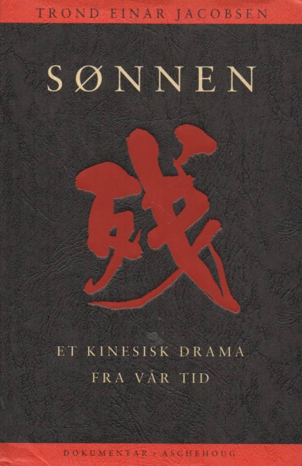 Sønnen – Et kinesisk drama fra vår tid