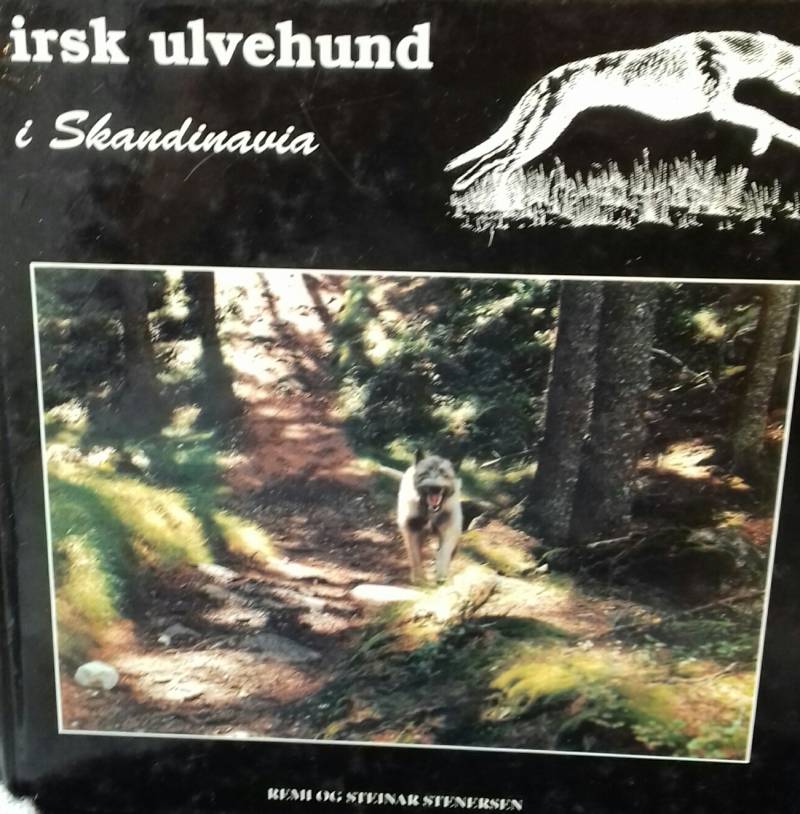 irsk ulvehund i Skandinavia 