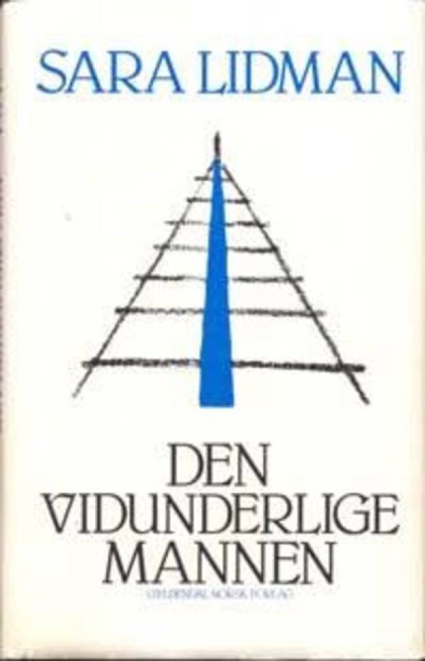 Den vidunderlige mannen