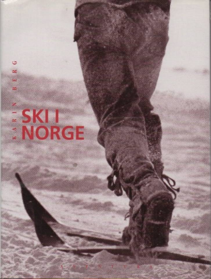 Ski i Norge