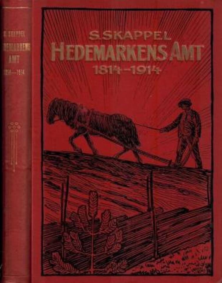 Hedemarkens Amt 1814 - 1914