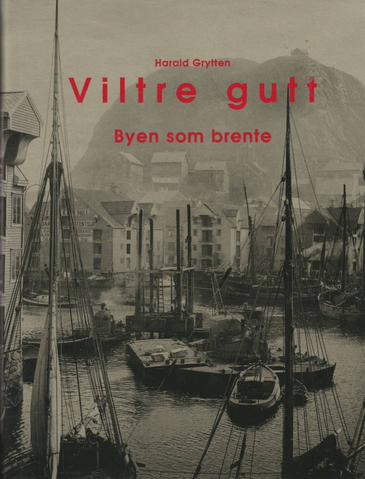 Viltre gutt