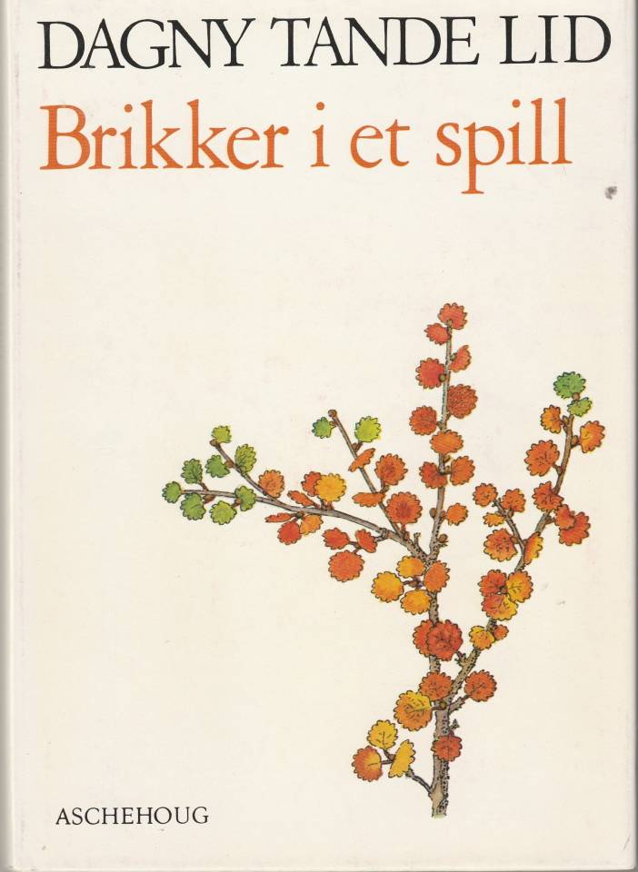 Brikker i et spill