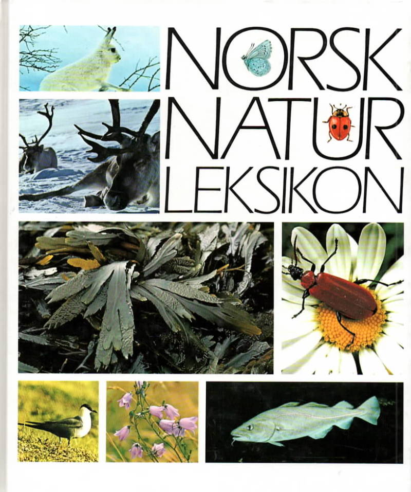 Norsk naturleksikon
