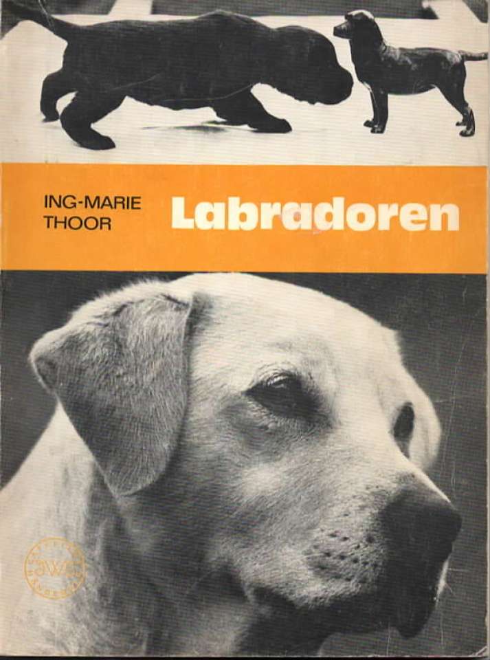 Labradoren