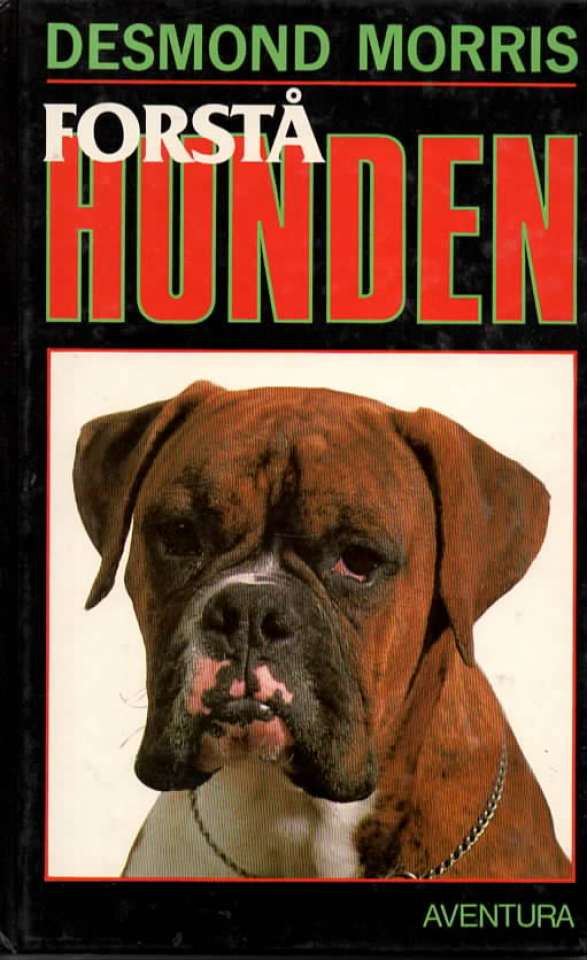 Forstå Hunden