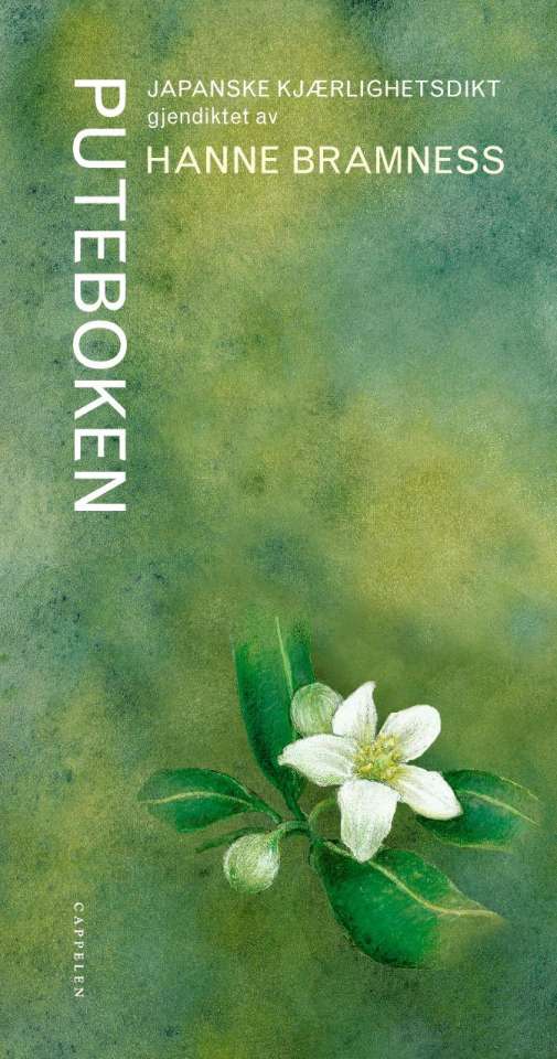 Puteboken