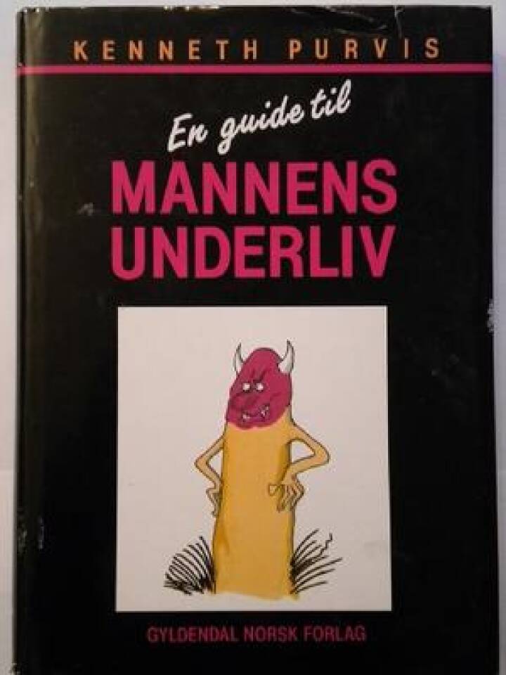 En guide til mannens underliv