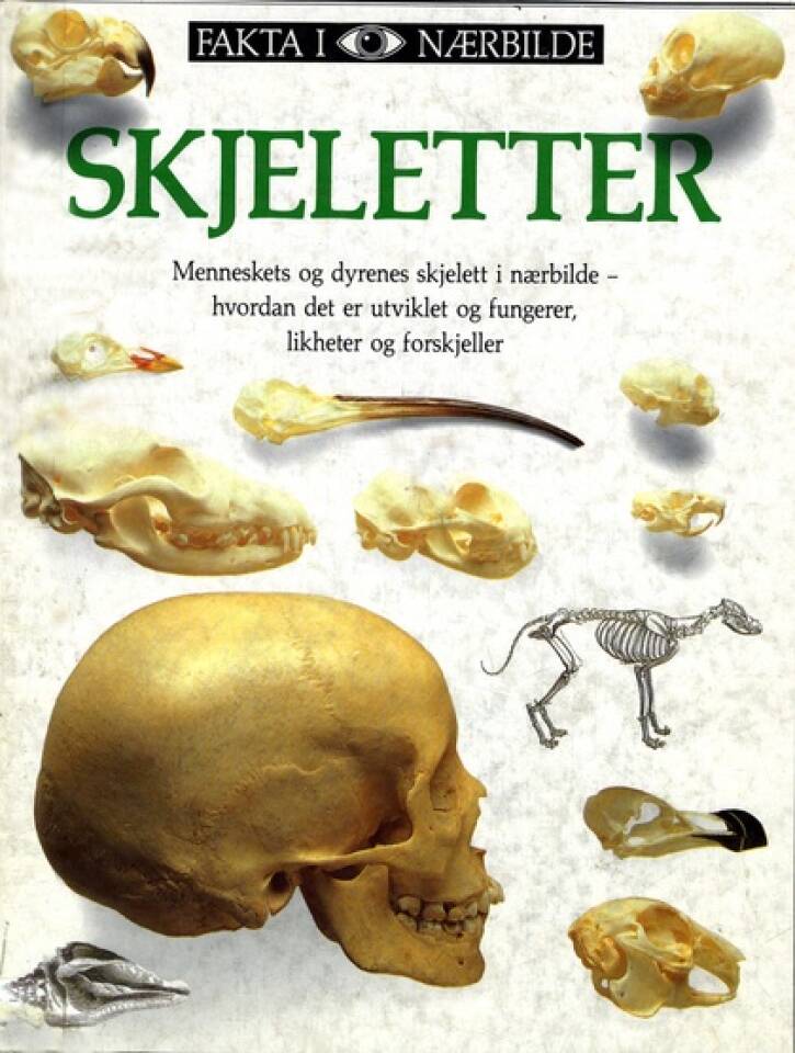 SKJELETTER