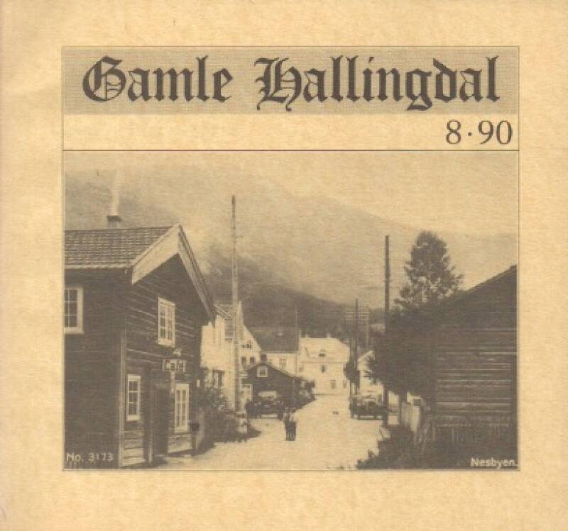 Gamle Hallingdal 8-90