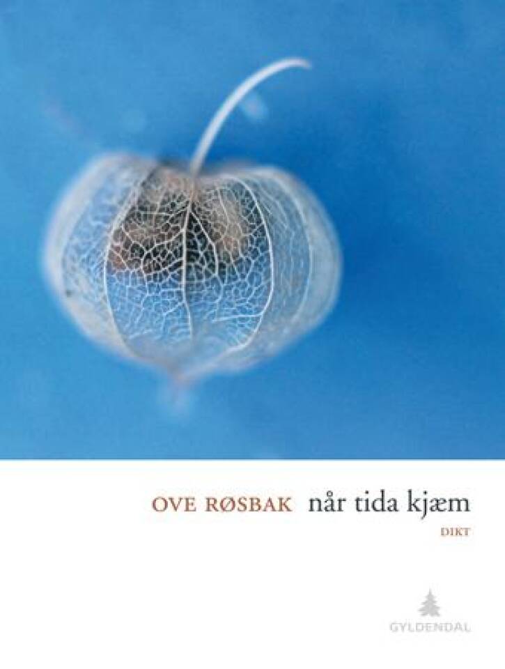 Når tida kjæm (dikt) 