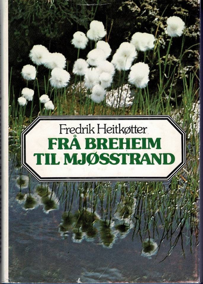 Fra Breheim til Mjøsstrand