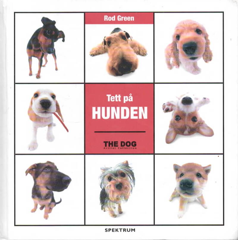 Tett på hunden – the Dog