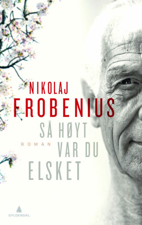 Så høyt var du elsket