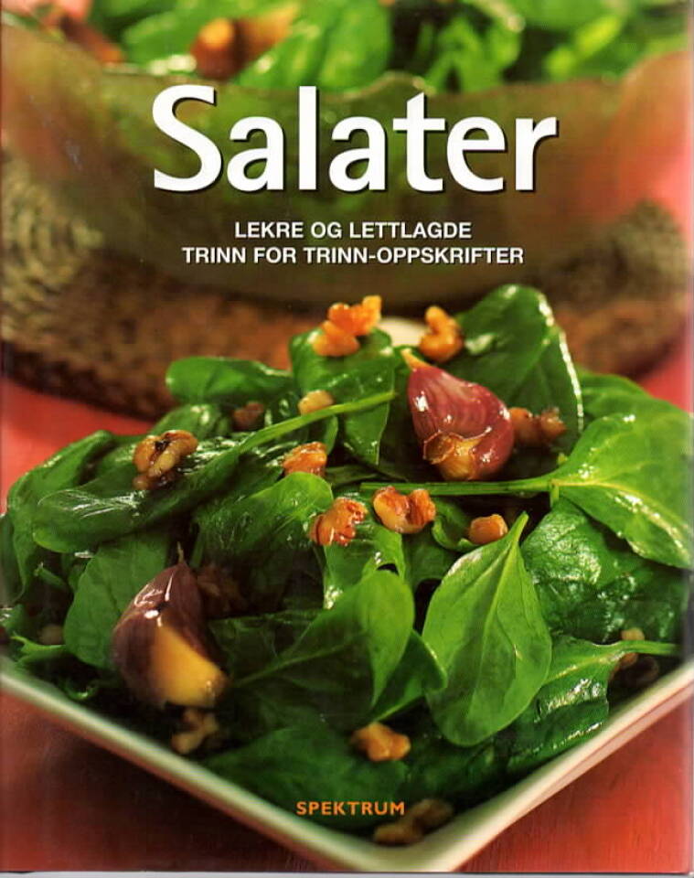 Salater – lekre og lettlagde trinn for trinn-oppskrifter