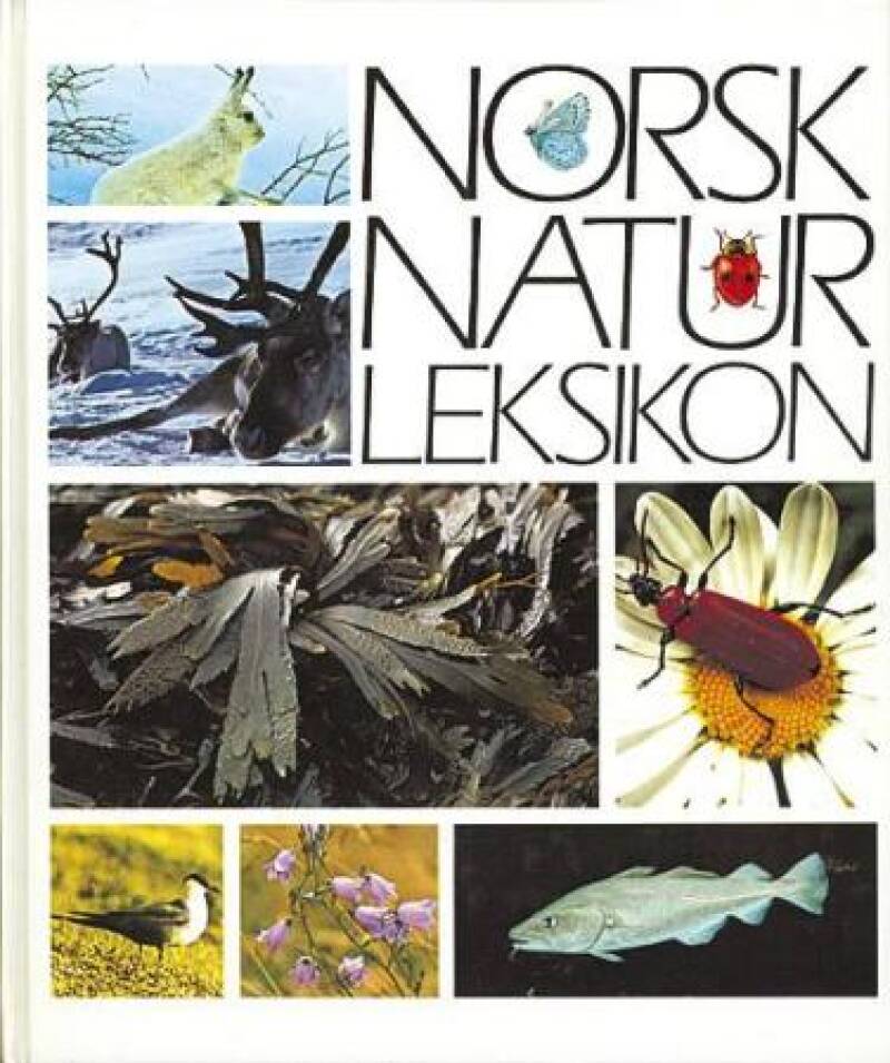 Norsk naturleksikon