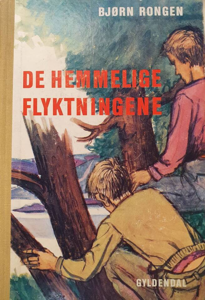 De hemmelige flyktningene