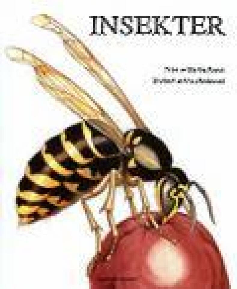 Insekter
