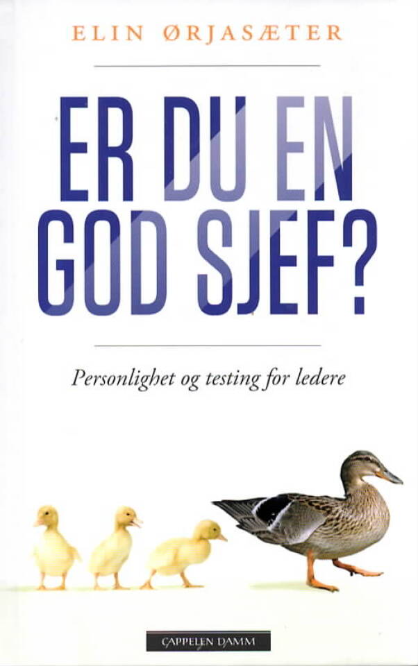 Er du en god sjef? – Personlighet og testing for ledere