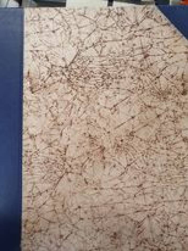 Internasjonal Politikk  årgang 1953