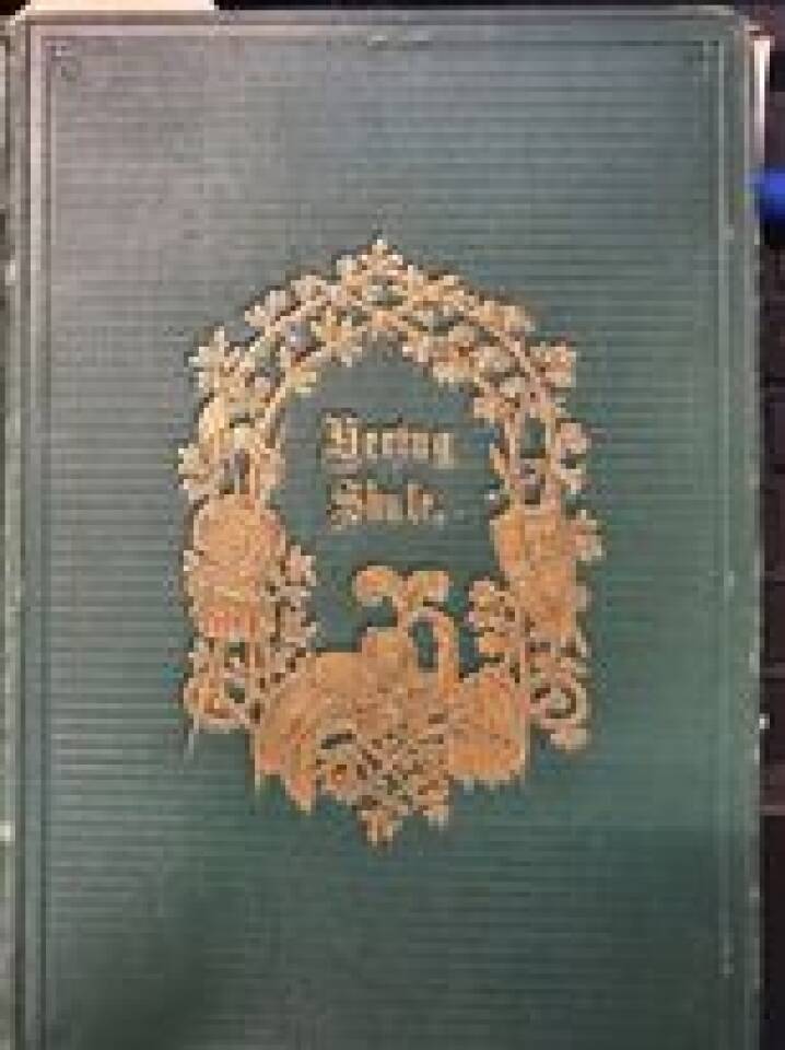 Hertug Skule