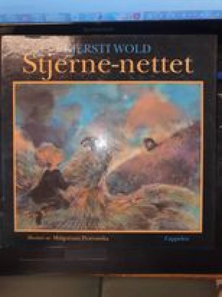 Stjerne-nettet