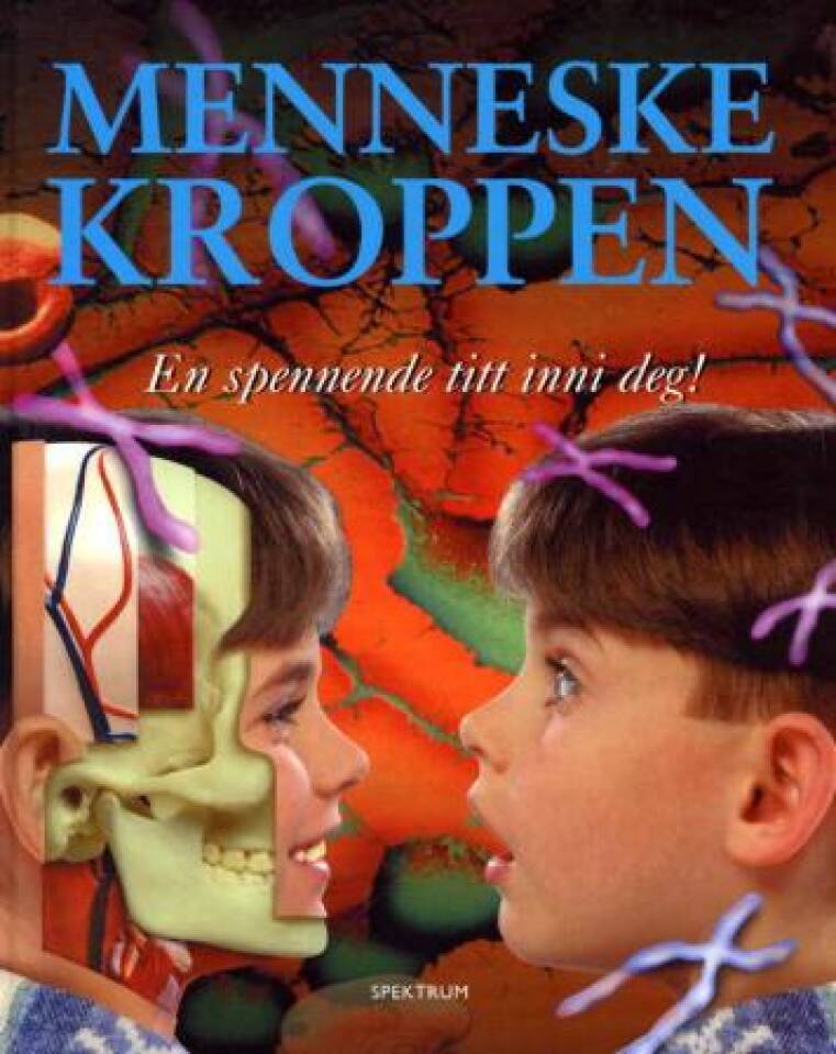 Menneskekroppen