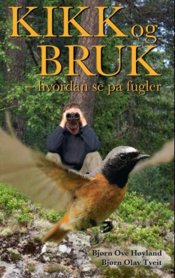 Kikk og bruk - hvordan se på fugler