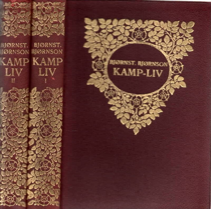Kamp-liv -  Brev fra årene 1879-1884
