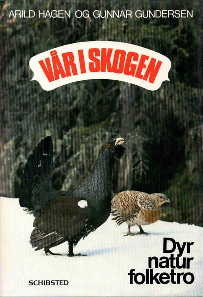 Vår i skogen