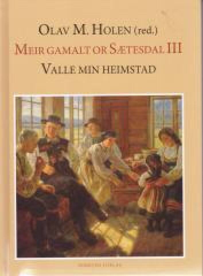 Meir Gamalt or Sætesdal III
