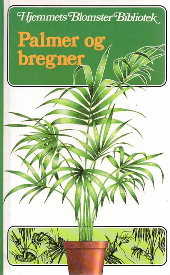 Palmer og bregner