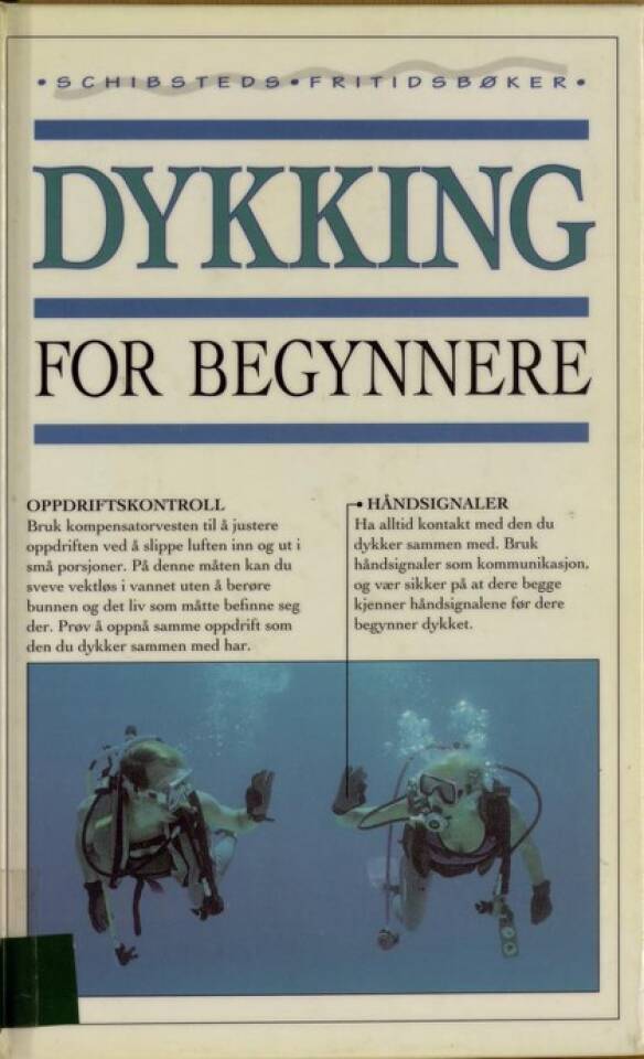 Dykking for begynnere