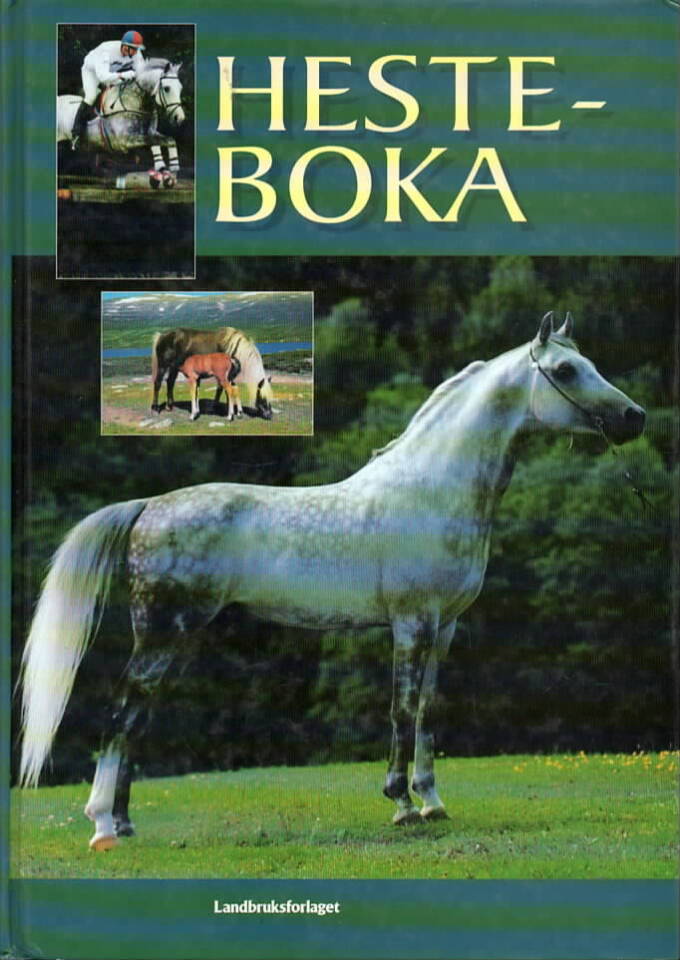 Hesteboka