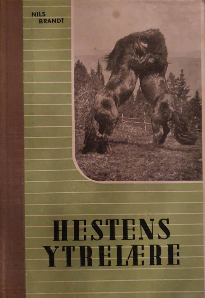 Hestens ytrelære