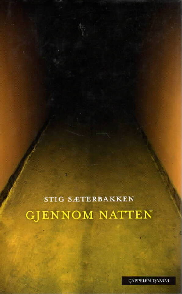 Gjennom natten