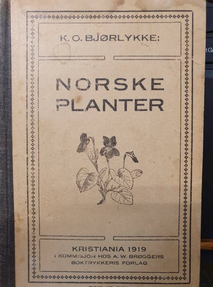Norske planter
