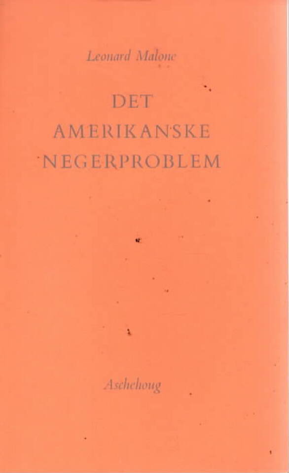 Det amerikanske negerproblem
