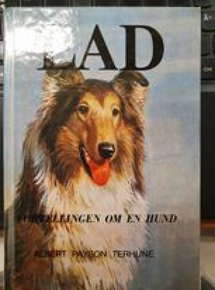 LAD Fortellingen om en hund