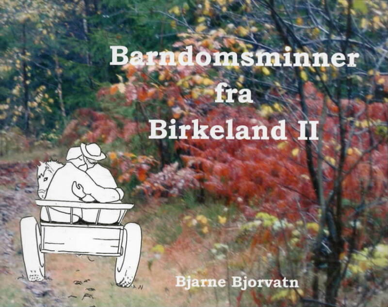 Barndomsminner fra Birkeland II