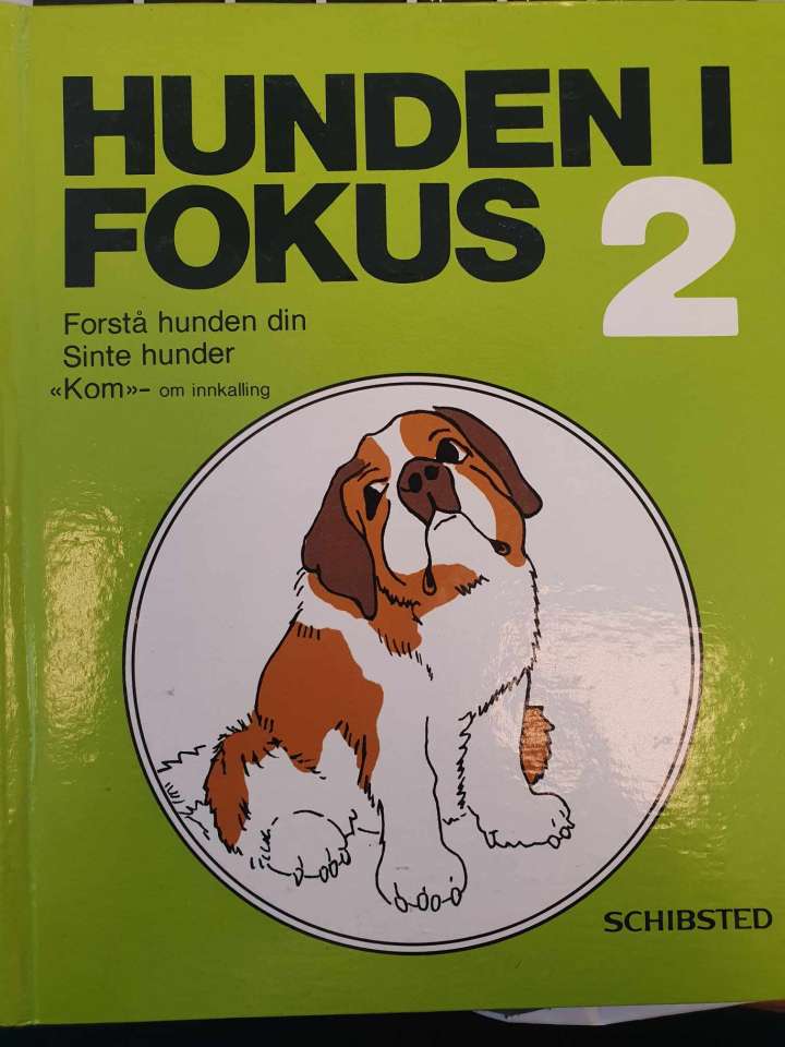 Hunden i fokus 2