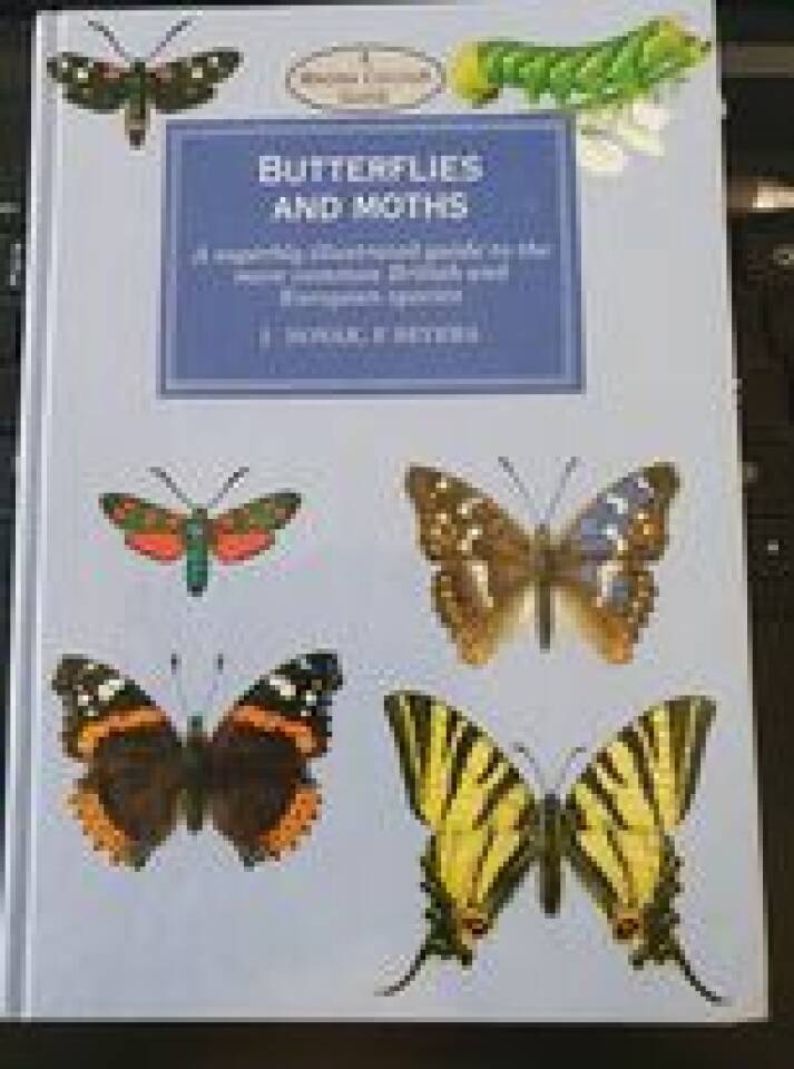 Butterflies and Moths 