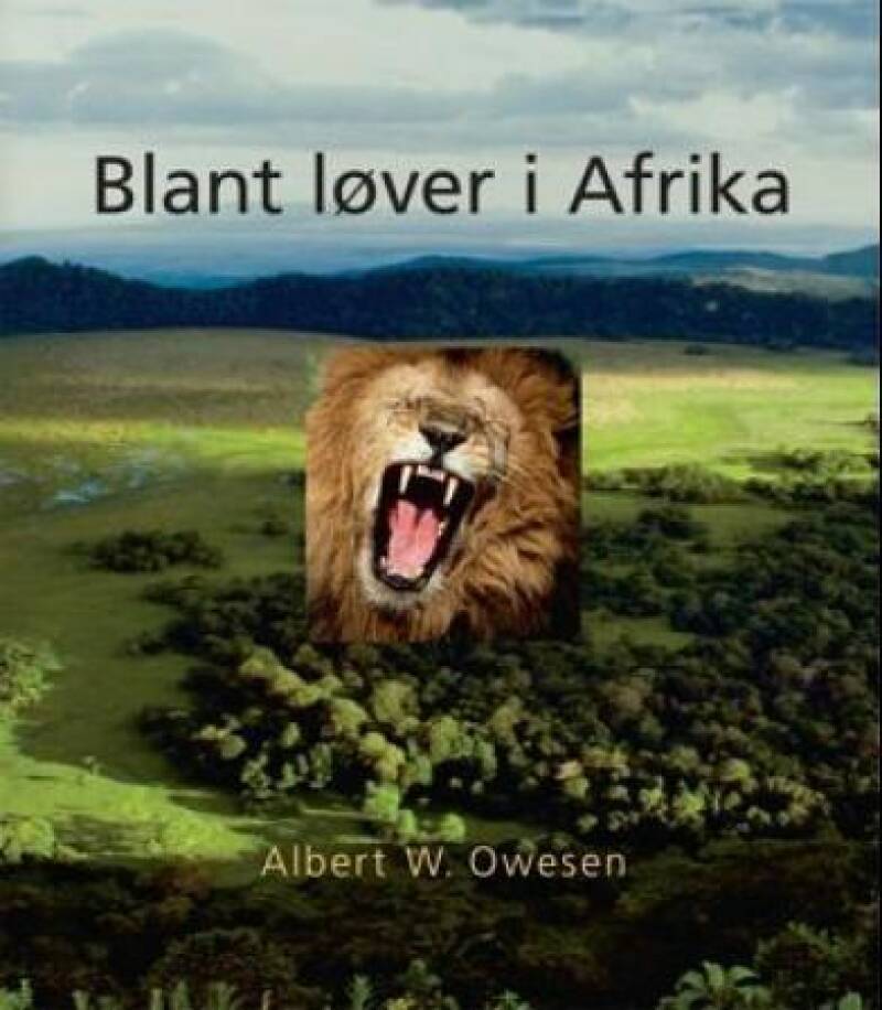 Blant løver i Afrika