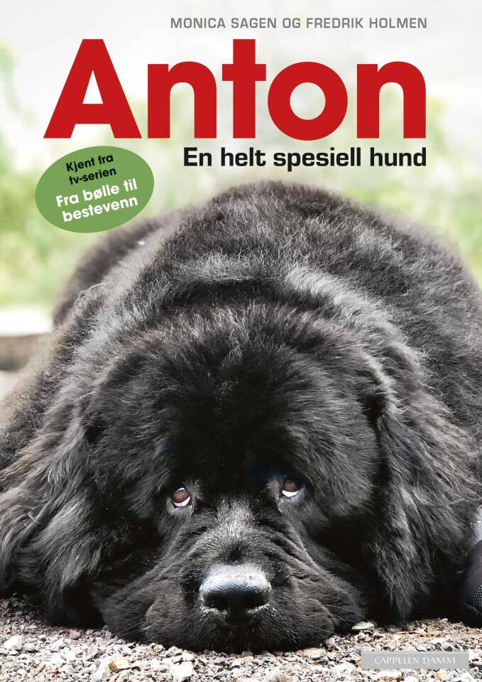 Anton - En helt spesiell hund