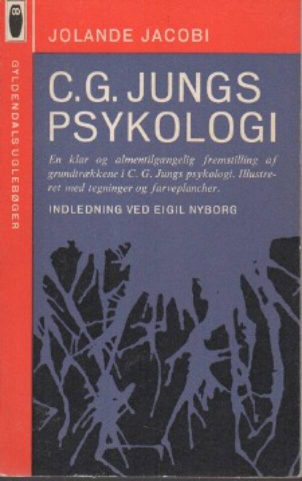 C. G. Jungs psykologi