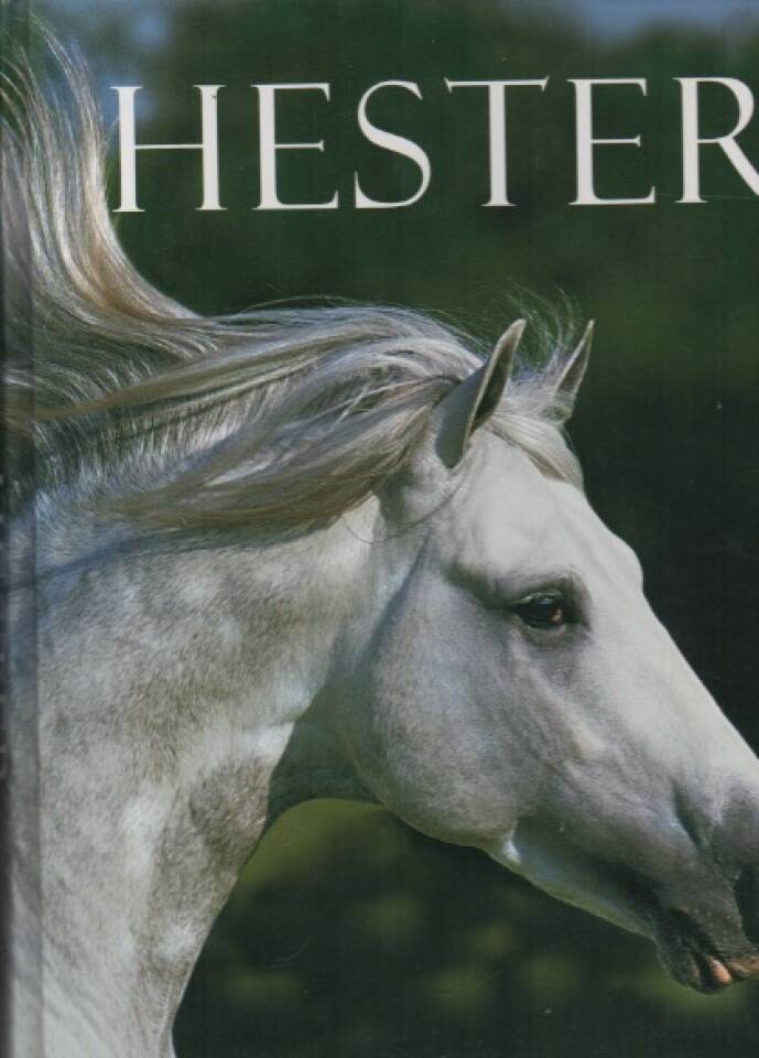 Hester