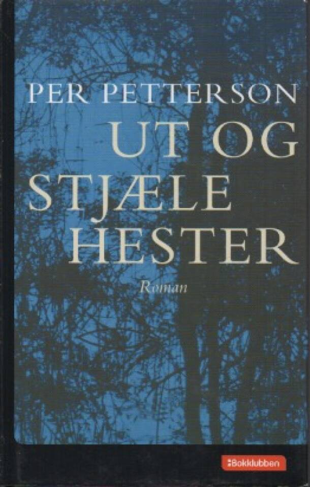 Ut å stjæle hester