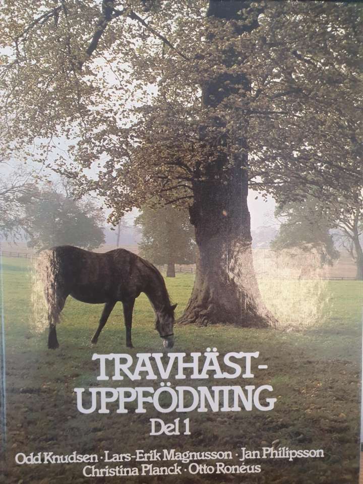 Travhästuppfördring Del 1