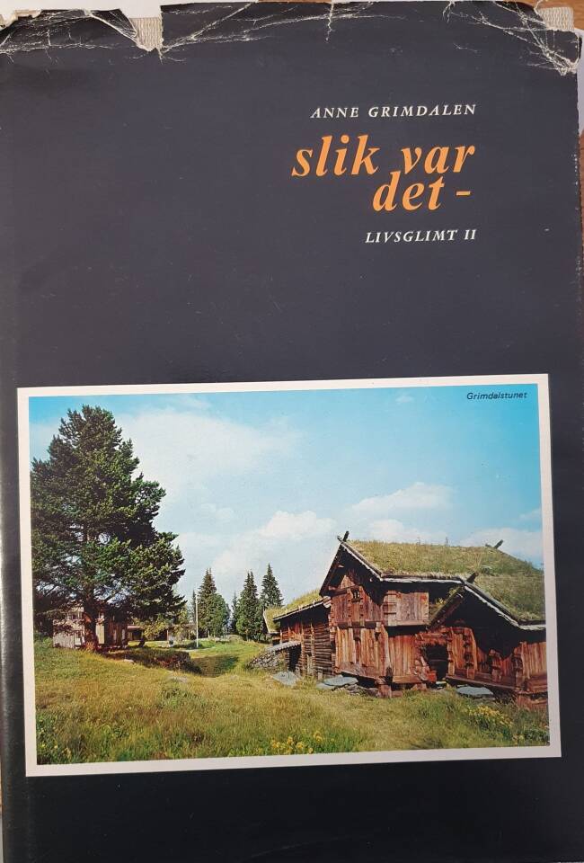 Slik var det. Livsglimt II